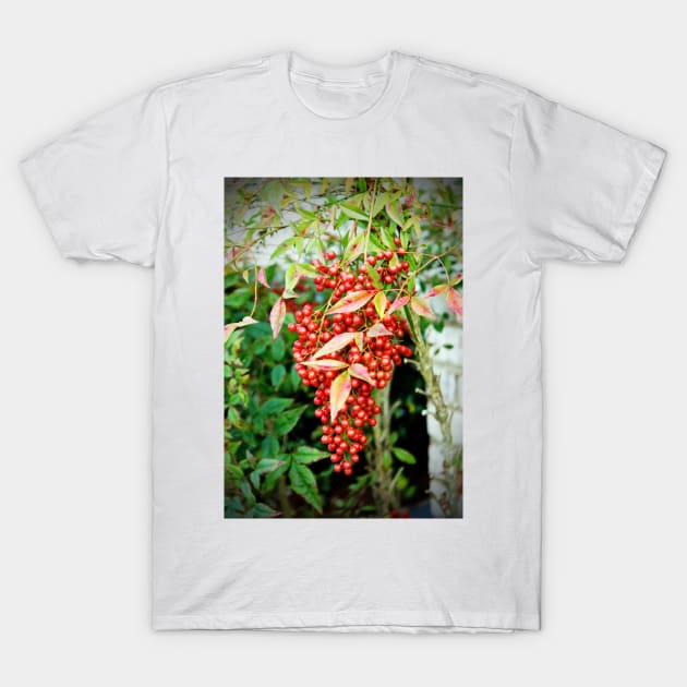 Red Berries T-Shirt by Cynthia48